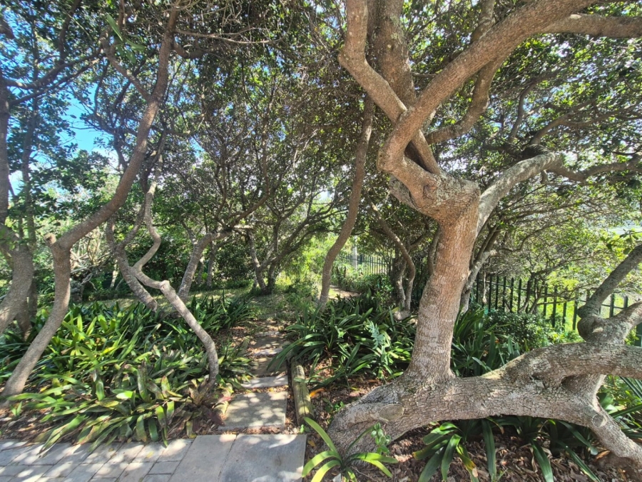 5 Bedroom Property for Sale in Wilderness Central Western Cape